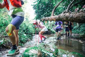 BIB: 
                            <button type="button" onclick="openModal(25451624)" class="btn btn-primary btn-sm float-right btn-popup" data-toggle="modal" data-target=".modal-high-quality">
                        <i class="fas fa-shopping-cart"></i> Add to Cart
                    </button>
                                            <button type="button" onclick="isThisMe(25451624, true)" class="btn btn-success btn-sm float-right btn-popup btn-isme hidden" data-toggle="tooltip" data-placement="bottom" title="นี่คือรูปของคุณใช่ไหม คลิกที่นี่เพื่อเอาเข้าอัลบั้ม">
                        <i class="fas fa-plus"></i> Add to album
                    </button>
                    <button type="button" onclick="isThisMe(25451624, false)" class="btn btn-warning btn-sm float-right btn-popup btn-isnotme hidden">
                        <i class="fas fa-ban"></i> Remove from album
                    </button>